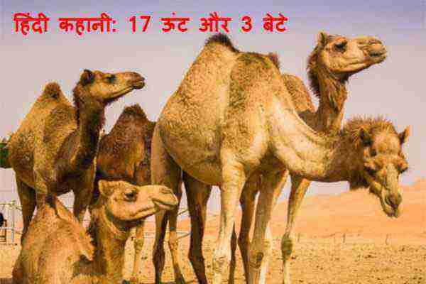 17 Camels and 3 Sons