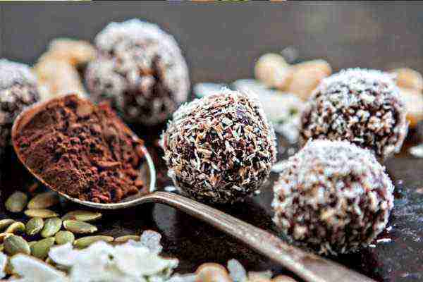 कोकोनट चॉकलेट बॉल्स रेसिपी, कोकोनट चॉकलेट बॉल्स बनाने की विधि, Coconut Chocolate Balls Recipe In Hindi, Coconut Chocolate Balls Banane Ki Vidhi, कोकोनट चॉकलेट बॉल्स कैसे बनाएं, कोकोनट चॉकलेट बॉल्स मुख्य सामग्री, कोकोनट चॉकलेट बॉल्स बनाने का तरीका, Coconut Chocolate Balls Kaise Banate Hain, Coconut Chocolate Balls Kaise Banaye