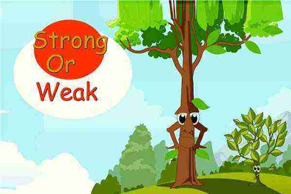 Strong or Weak