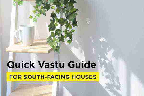 Vastu for South facing house