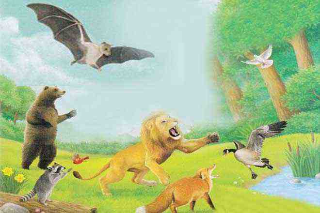 Hindi Kids Story Selfish bats