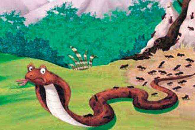 Hindi kids story Snakes and Ants