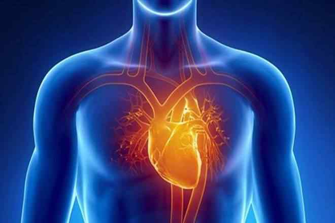 हार्ट फेल व हार्ट अटैक में अंतर, Cardiac Arrest Vs Heart Attack in Hindi, कार्डियक अरेस्ट और हार्ट अटैक में अंतर, दिल का दौरा और हृदय गति रुकना में अंतर, Heart Attack और Cardiac Arrest में क्या है अंतर?, Cardiac Arrest Aur Heart Attack Mai Kya Antar Hai, What Is the Difference Between Heart Attack and Cardiac Arrest in Hindi, Difference Between Cardiac Arrest and Heart Attack in Hindi, Heart Attack and Cardiac Arrest Difference in Hindi