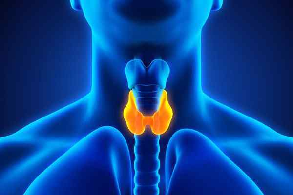 Thyroid Problems and Disease know Causes of Thyroid Symptoms Treatment Thyroid ke karan lakshan ilaj dawa upchar in Hindi Thyroid Kya Hota Hai