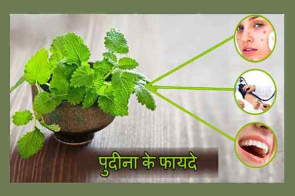 Health and Beauty Benefits Of Mint