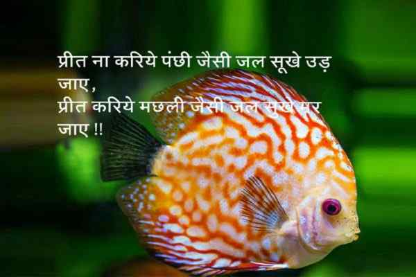 Quotes in hindi