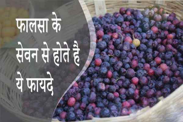 falsa benefits