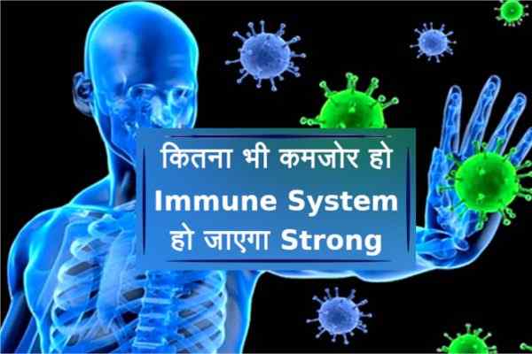 immune system