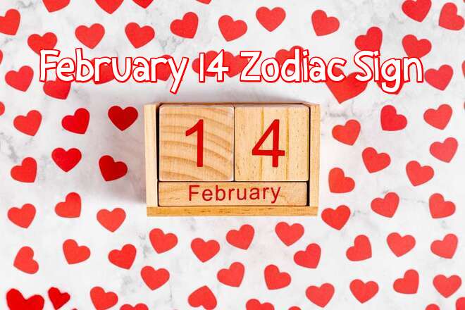 February 14 Zodiac: Personality, Birthday, Love, Compatibility, Career, Family, Dreams and Star Sign