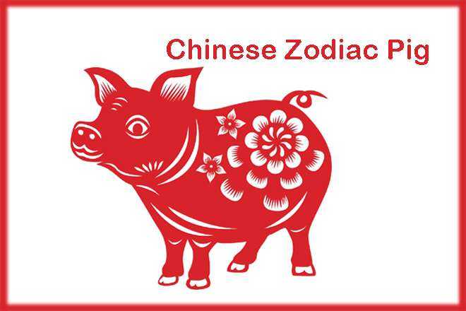 Chinese Zodiac Pig