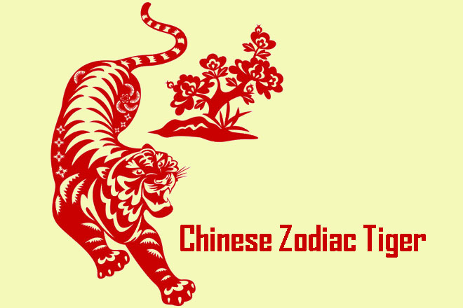 Tiger Zodiac, What Is The Personality Of A Tiger, Chinese Zodiac Tiger, Tiger Personality, Tiger Characteristics, Personality Of The Tiger, Tiger Strengths, Tiger Weakness, Year Of Tiger, Next Year Of The Tiger, Tiger In Chinese Zodiac, Tigers Horoscope, Year Of The Tiger, Tiger In Love, Tiger Love Compatibility, Tiger Health And Fitness, Tiger Male, Tiger Female, Tiger Destiny By Birth Date, Tiger Destiny By Birth Month