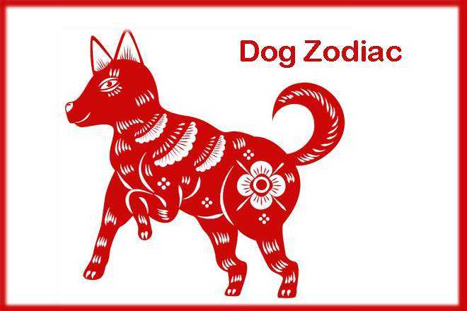Dog Zodiac