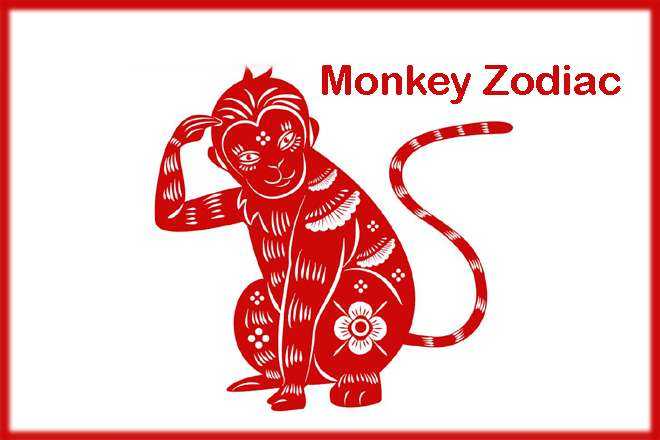 Monkey Zodiac