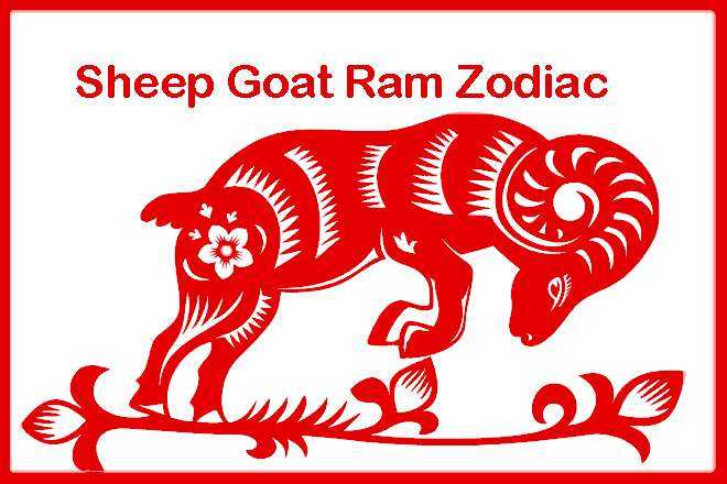 Sheep Goat Ram Zodiac