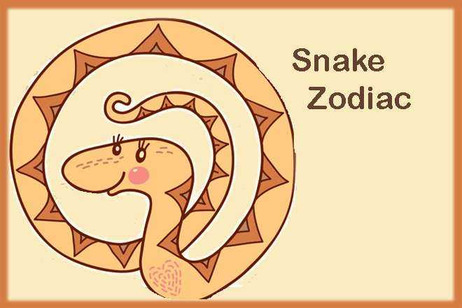 Snake Zodiac