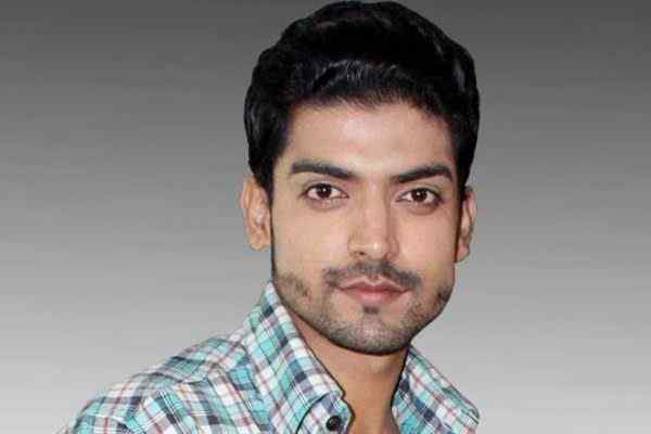 Biography of gurmeet chaudhary