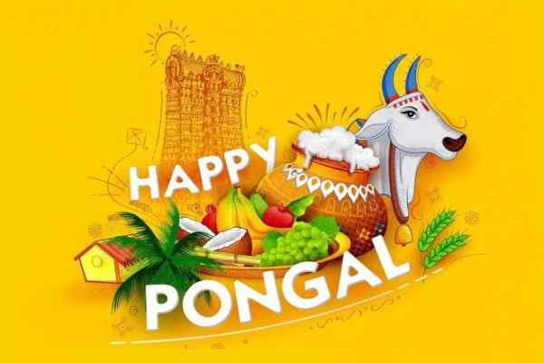 हैप्पी पोंगल 2022, पोंगल की हार्दिक शुभकामनाएं, Pongal Wishes In Hindi 2022, पोंगल विशेज इन हिंदी, पोंगल कोट्स, पोंगल मैसेज, शायरी, Pongal Ki Shubhkamnaye, Pongal Quotes In Hindi 2022, Pongal Messages, Pongal Whatsapp and Facebook status