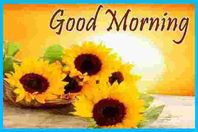 Good Morning Quotes Good Morning Shayari Good Morning Message Good Morning Quotes In Hindi Today Idea Good Morning Shayari Collection