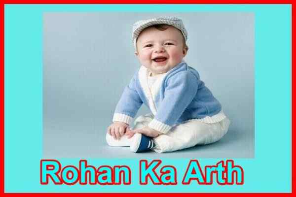 रोहन नाम का अर्थ Rohan Naam Ka Arth