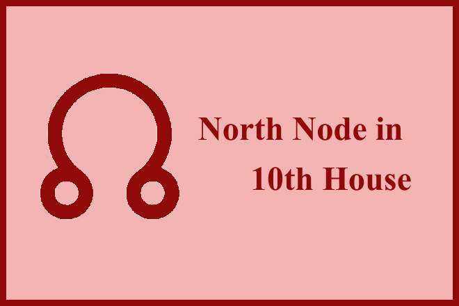 North Node in 10th House, Rahu In 10th House, North Node Rahu In Tenth House, Rahu In 10th House Married Life, Past Life, Navamsa Chart, Moksha, Marriage, Lagna Chart, Synastry, Ascendant, Remedies, Health, 10th House Rahu